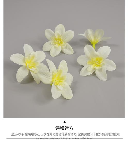 兰花头装饰仿真花 一花多用，点缀生活的每一处浪漫